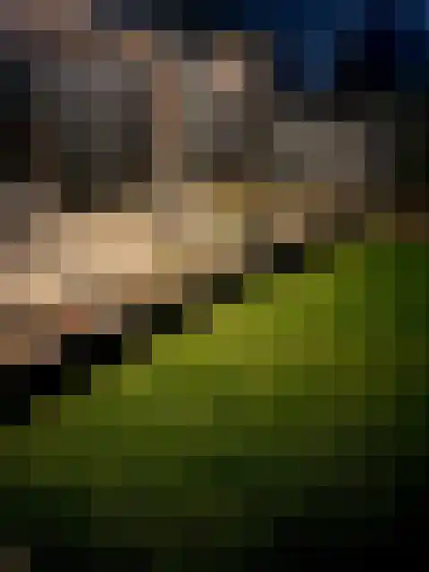 Gerard Doustraat 3 Voorthuizen thumbnail 34