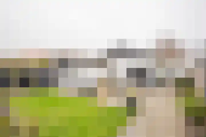 Gerard Doustraat 3 Voorthuizen thumbnail 4