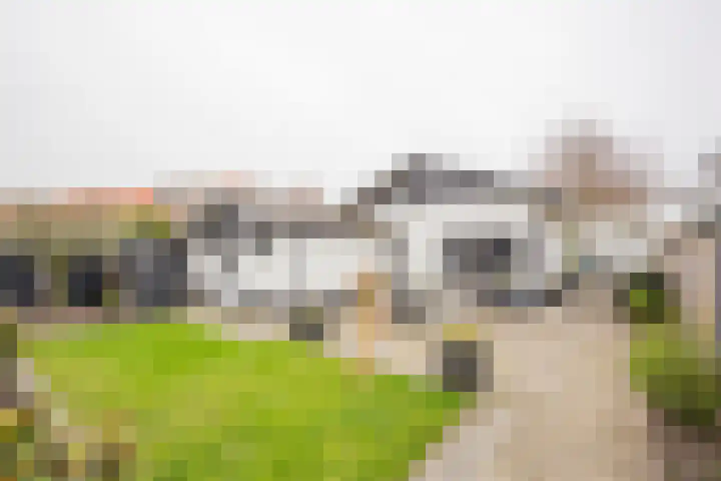 Gerard Doustraat 3 Voorthuizen thumbnail 4