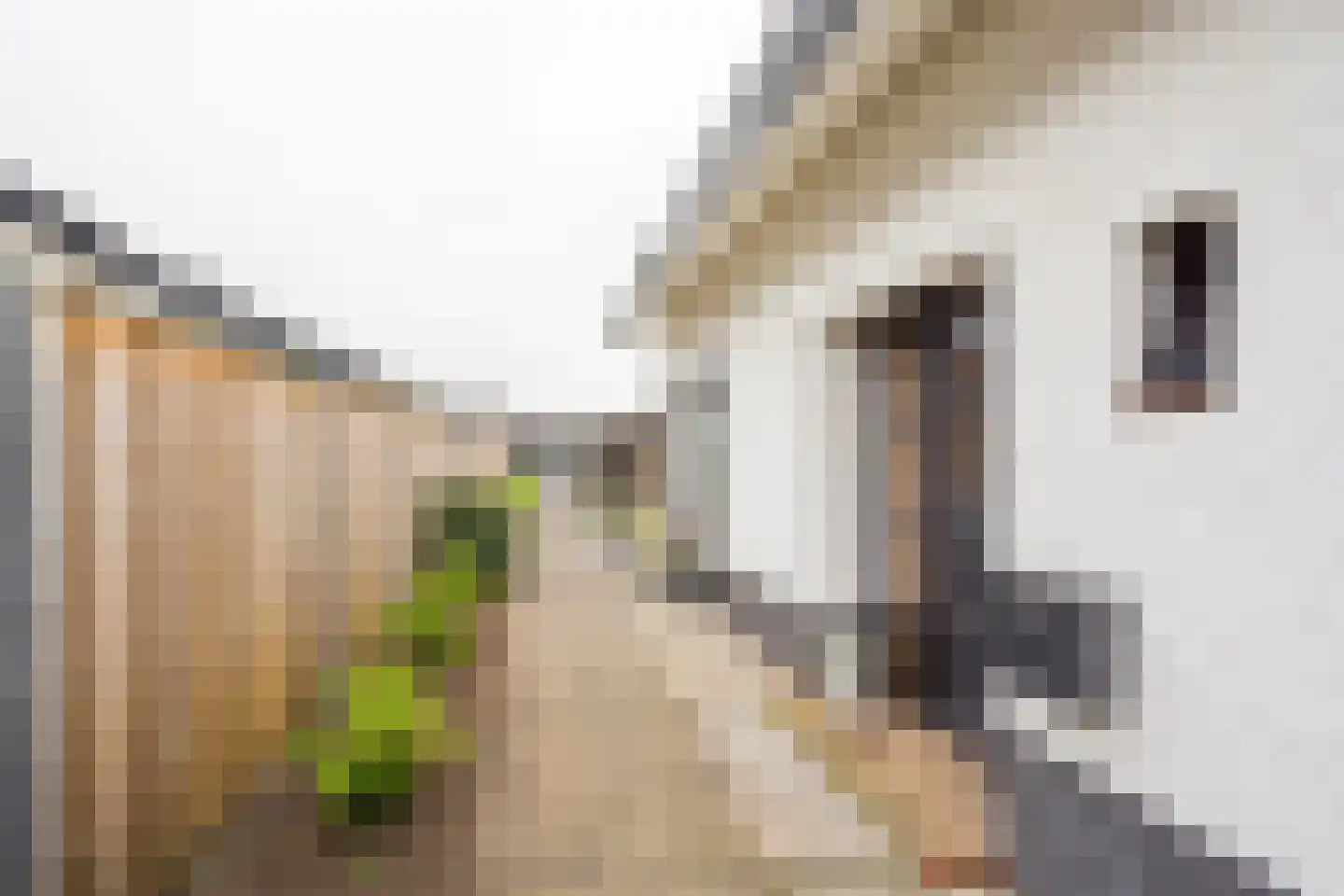 Gerard Doustraat 3 Voorthuizen thumbnail 6
