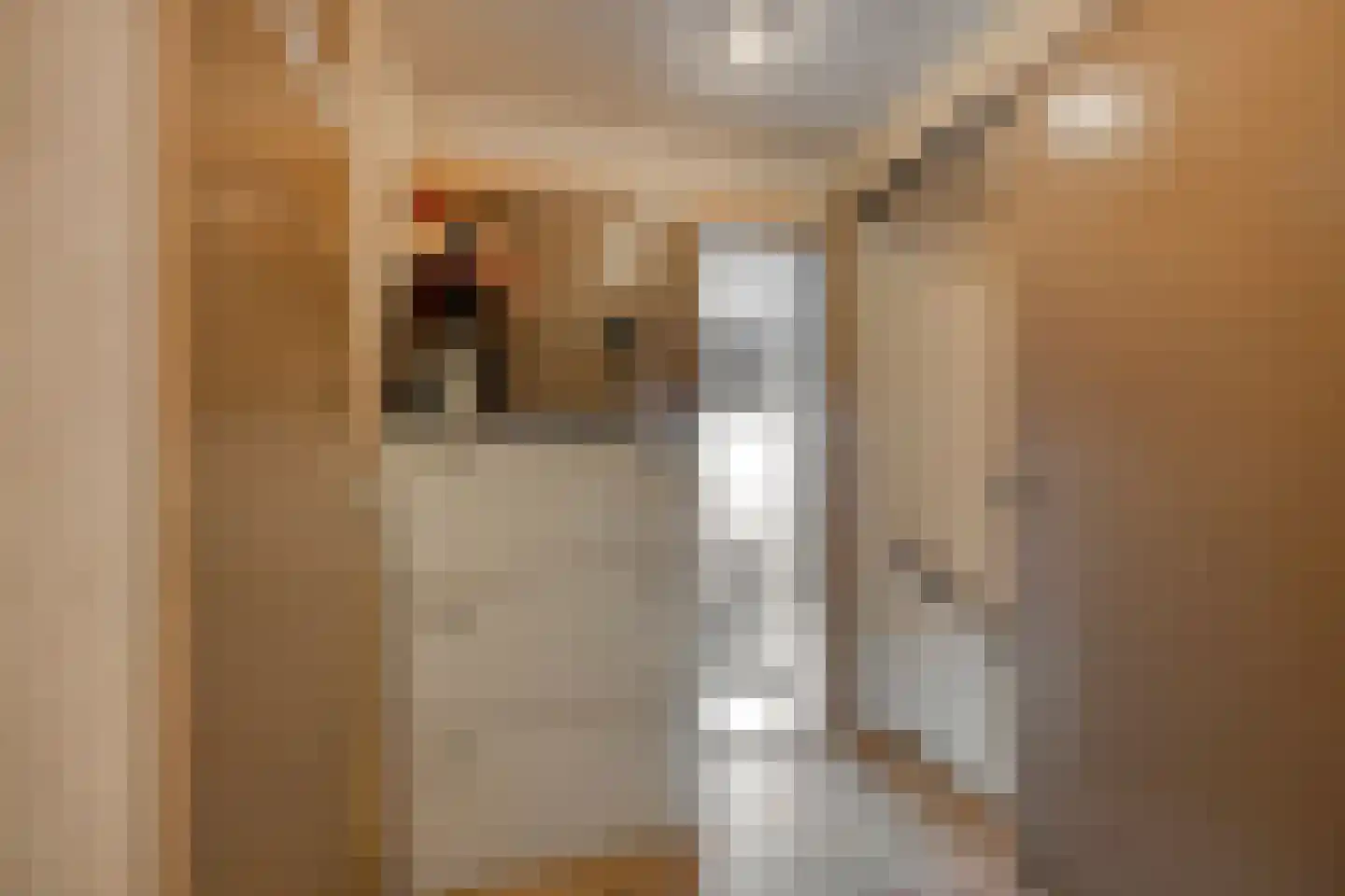 Gerard Doustraat 31 Capelle aan den IJssel thumbnail 13