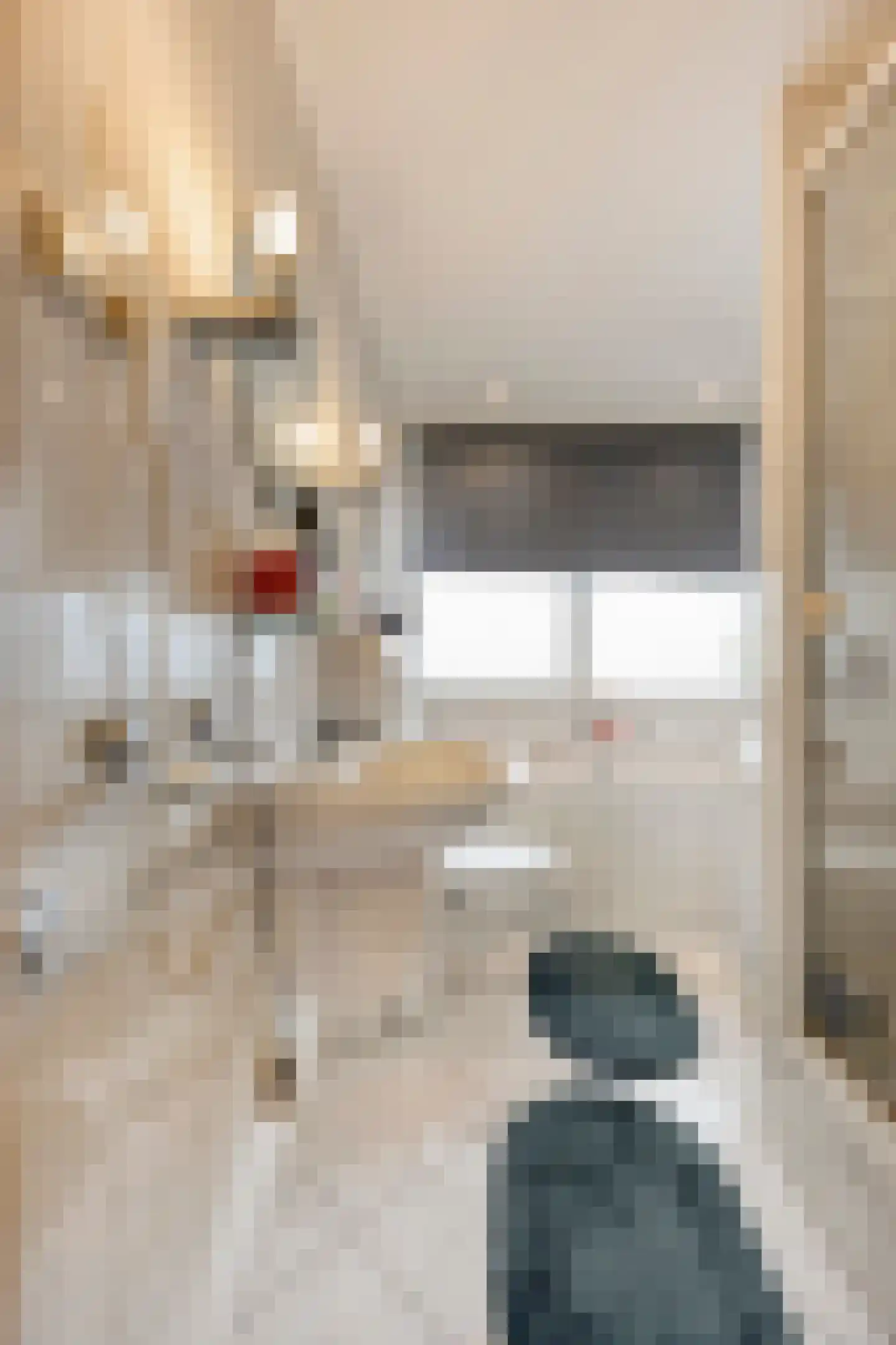 Gerard Doustraat 31 Capelle aan den IJssel thumbnail 16