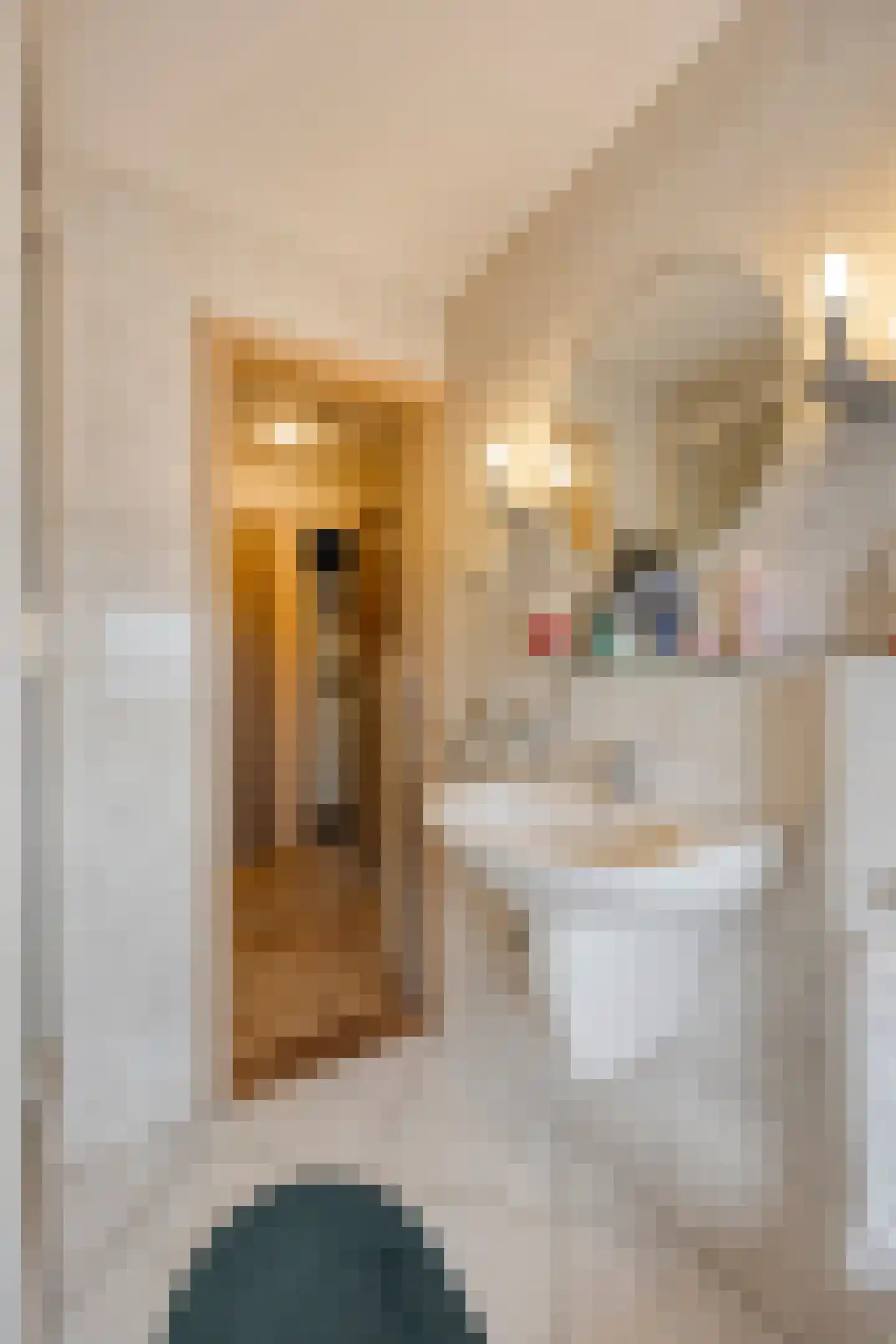 Gerard Doustraat 31 Capelle aan den IJssel thumbnail 19