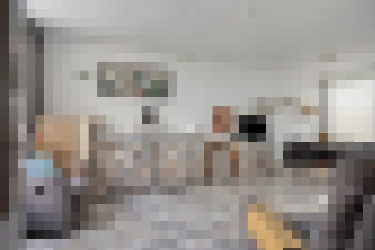 Gerard Doustraat 31 Capelle aan den IJssel thumbnail 8