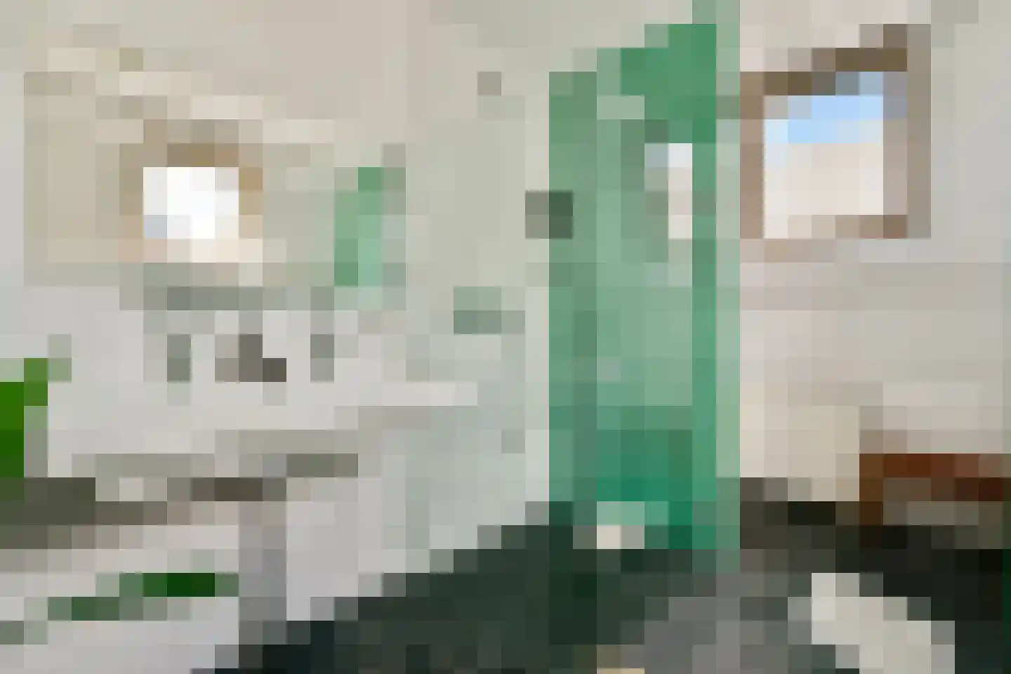 Gerard Doustraat 32 A 2 Amsterdam thumbnail 15