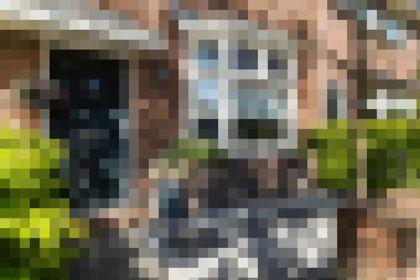 Gerard Doustraat 32 Leeuwarden thumbnail 6