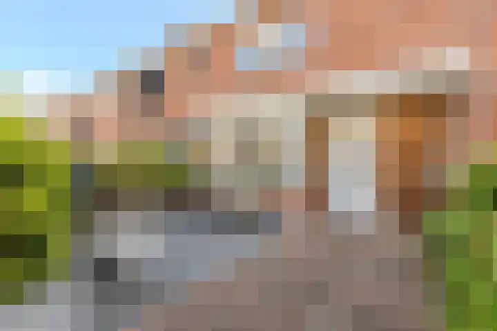 Gerard Doustraat 33 Alkmaar thumbnail 8