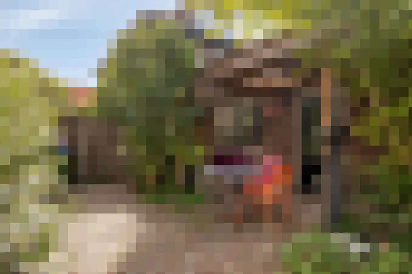 Gerard Doustraat 33 Veenendaal thumbnail 32