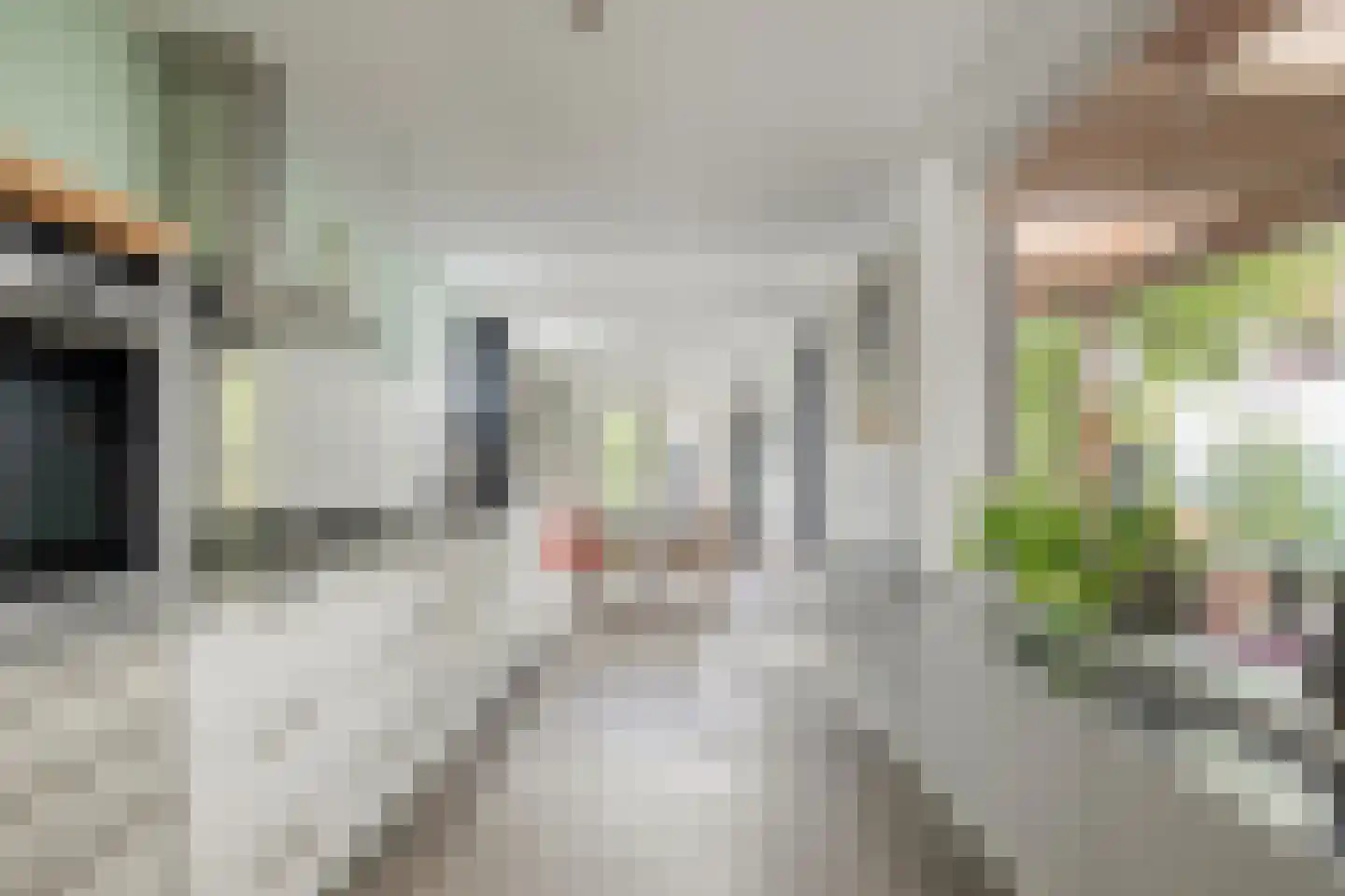 Gerard Doustraat 33 Veenendaal thumbnail 4