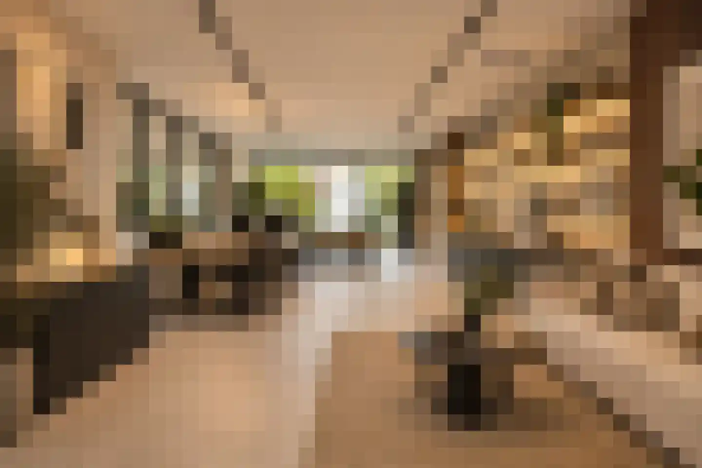 Gerard Doustraat 33 Veenendaal thumbnail 5