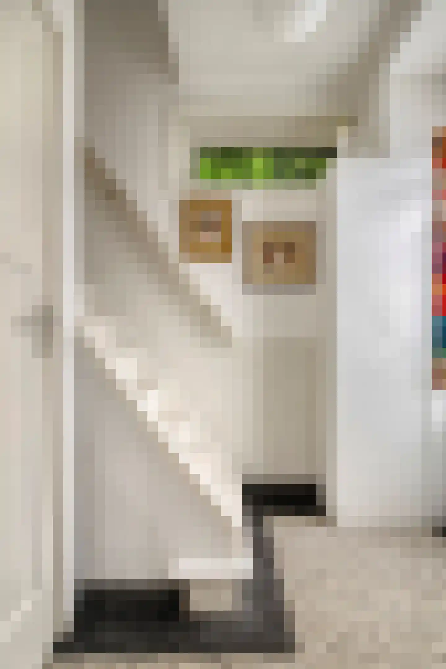 Gerard Doustraat 33 Veenendaal thumbnail 9
