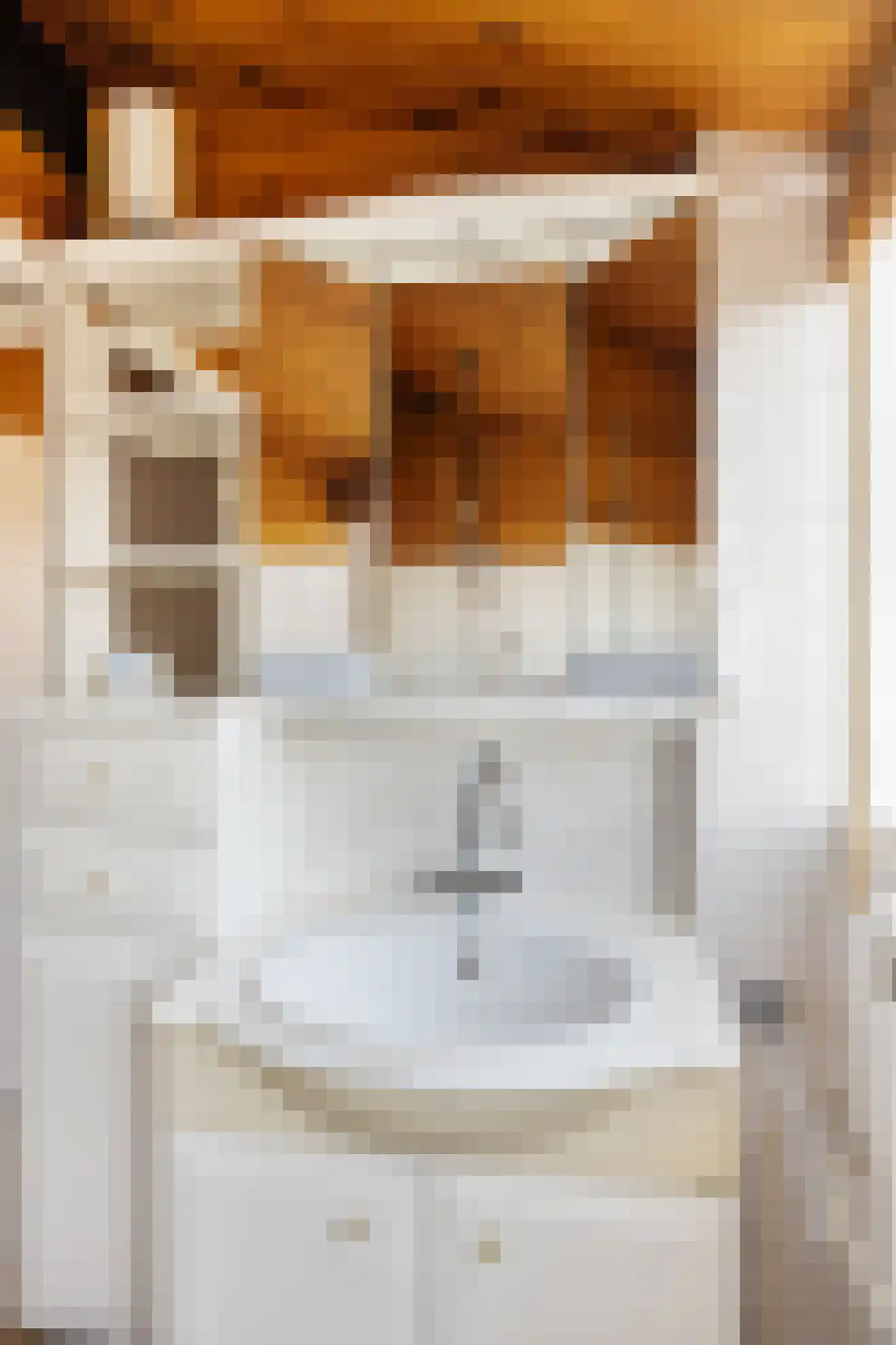 Gerard Doustraat 34 Capelle aan den IJssel thumbnail 18