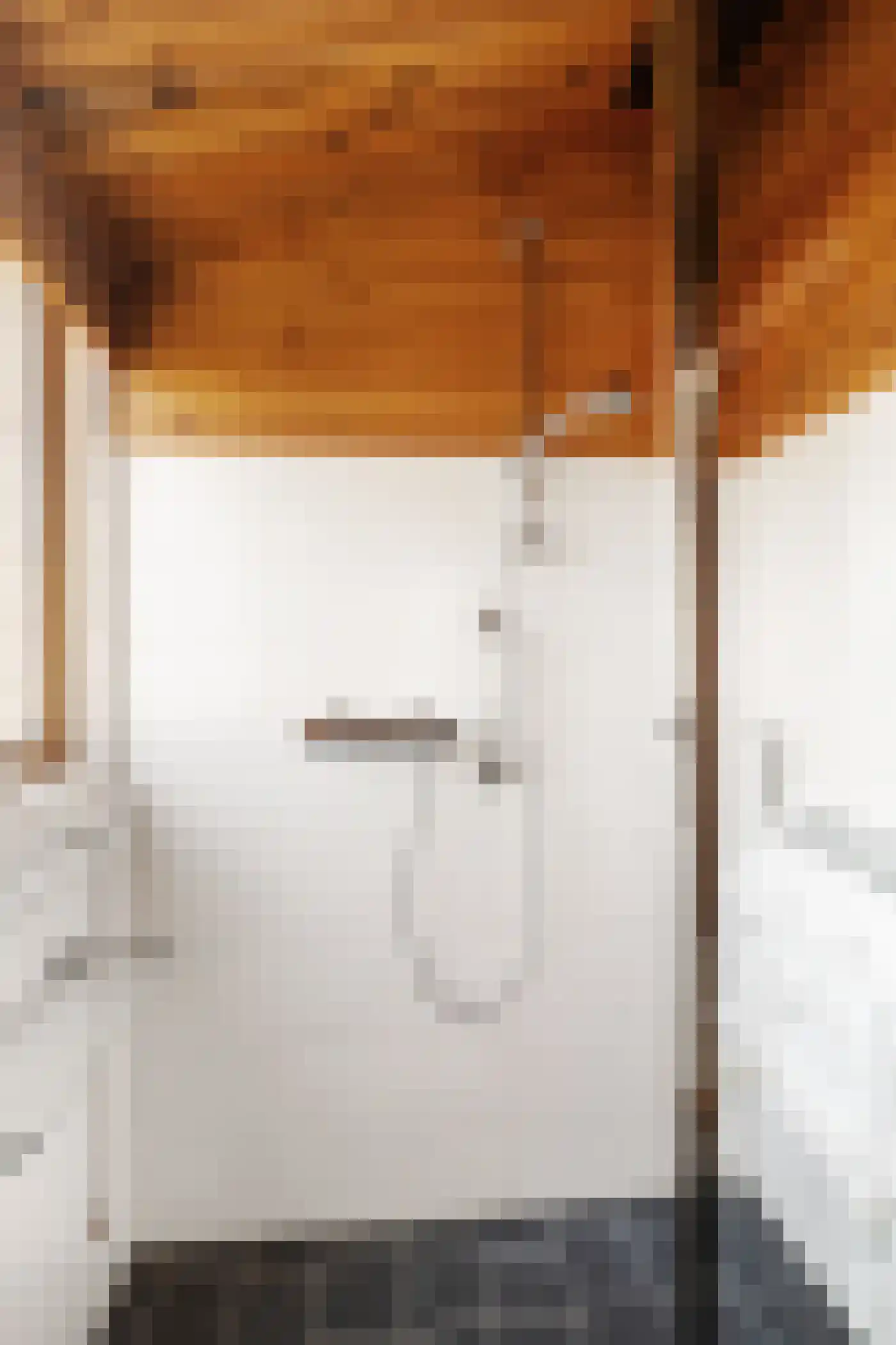 Gerard Doustraat 34 Capelle aan den IJssel thumbnail 19