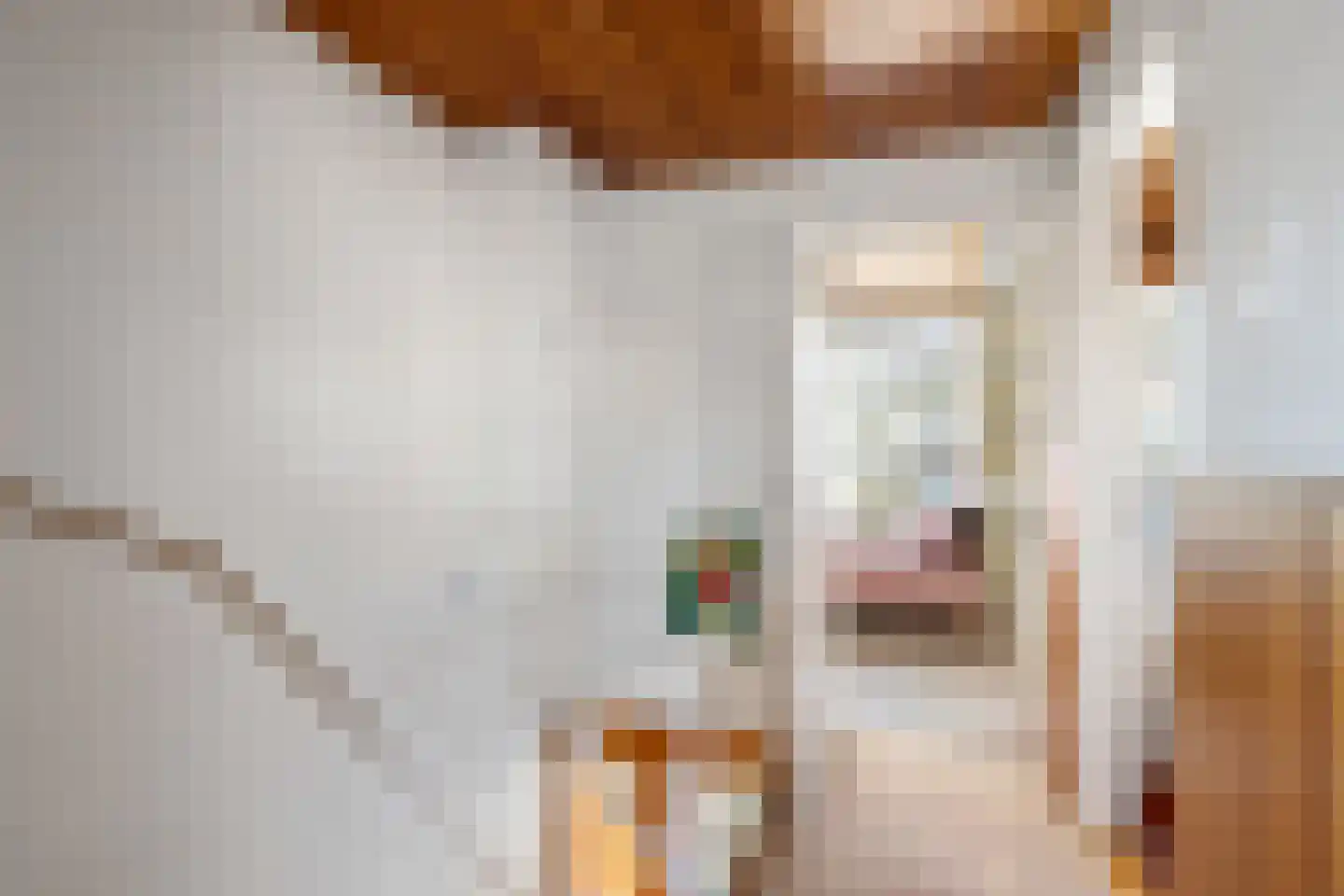 Gerard Doustraat 34 Capelle aan den IJssel thumbnail 22