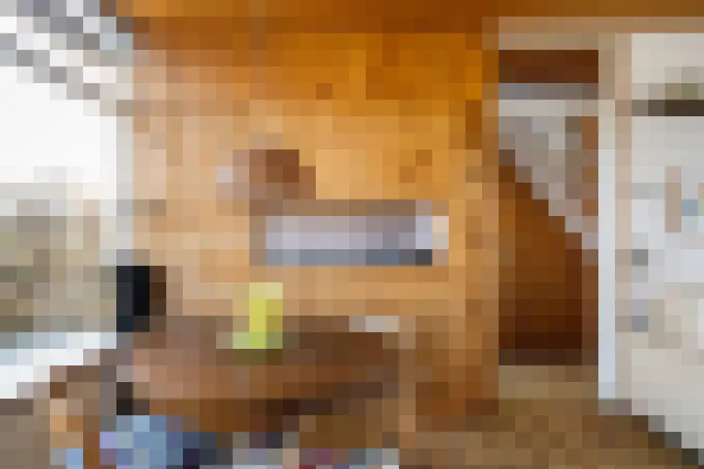 Gerard Doustraat 34 Capelle aan den IJssel thumbnail 23