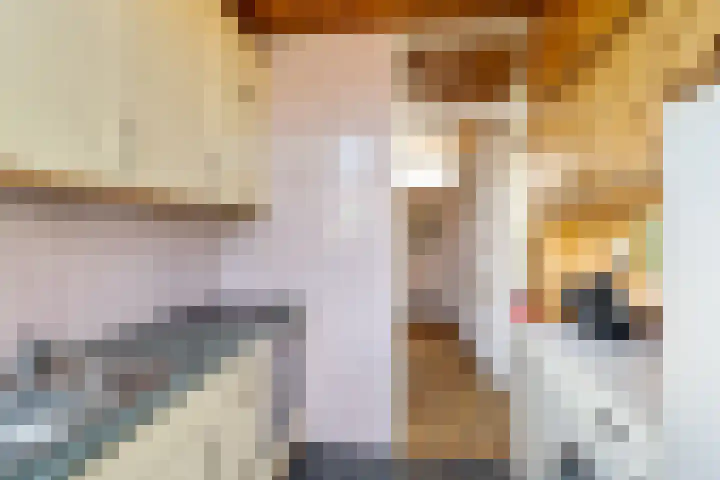 Gerard Doustraat 34 Capelle aan den IJssel thumbnail 25