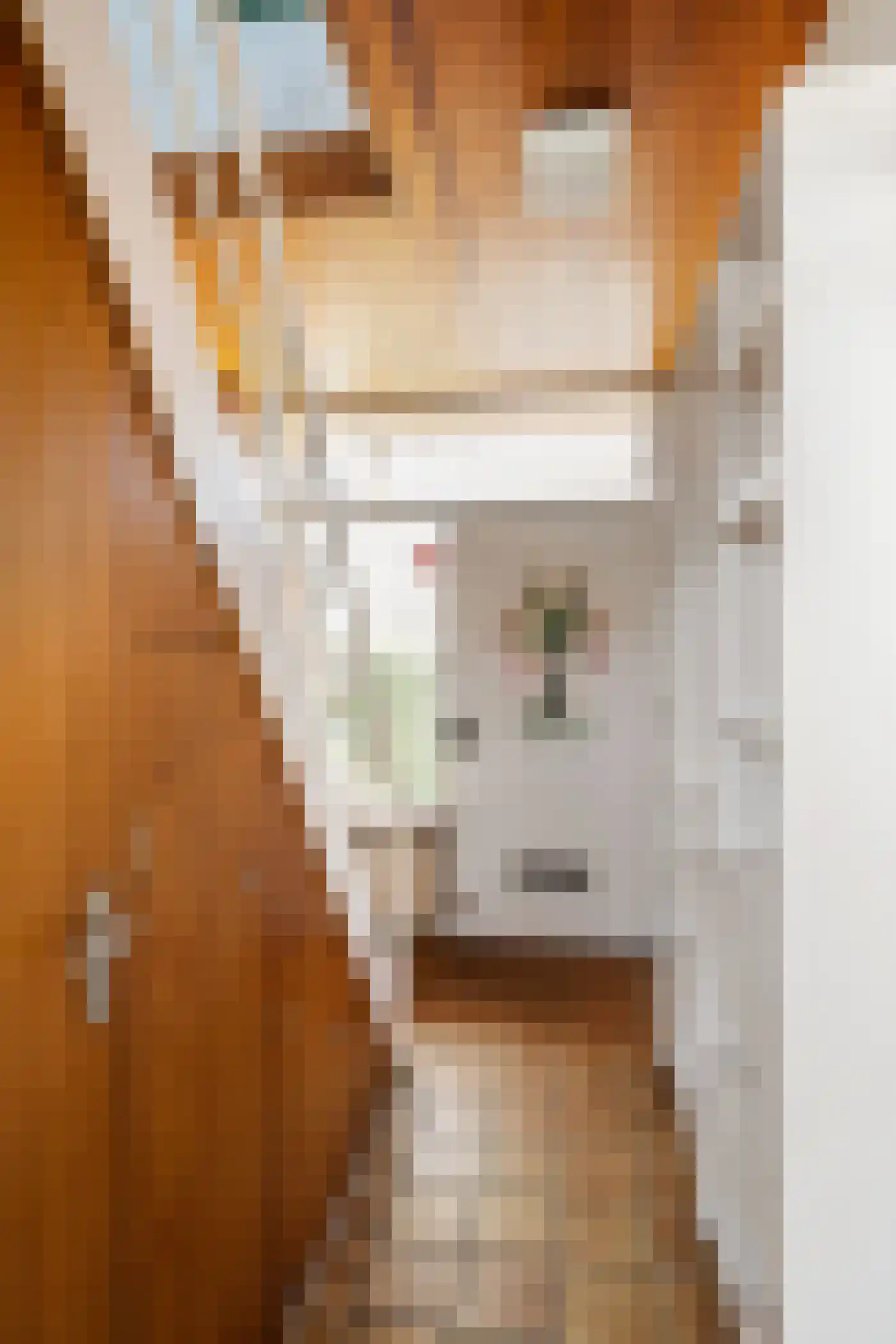 Gerard Doustraat 34 Capelle aan den IJssel thumbnail 29