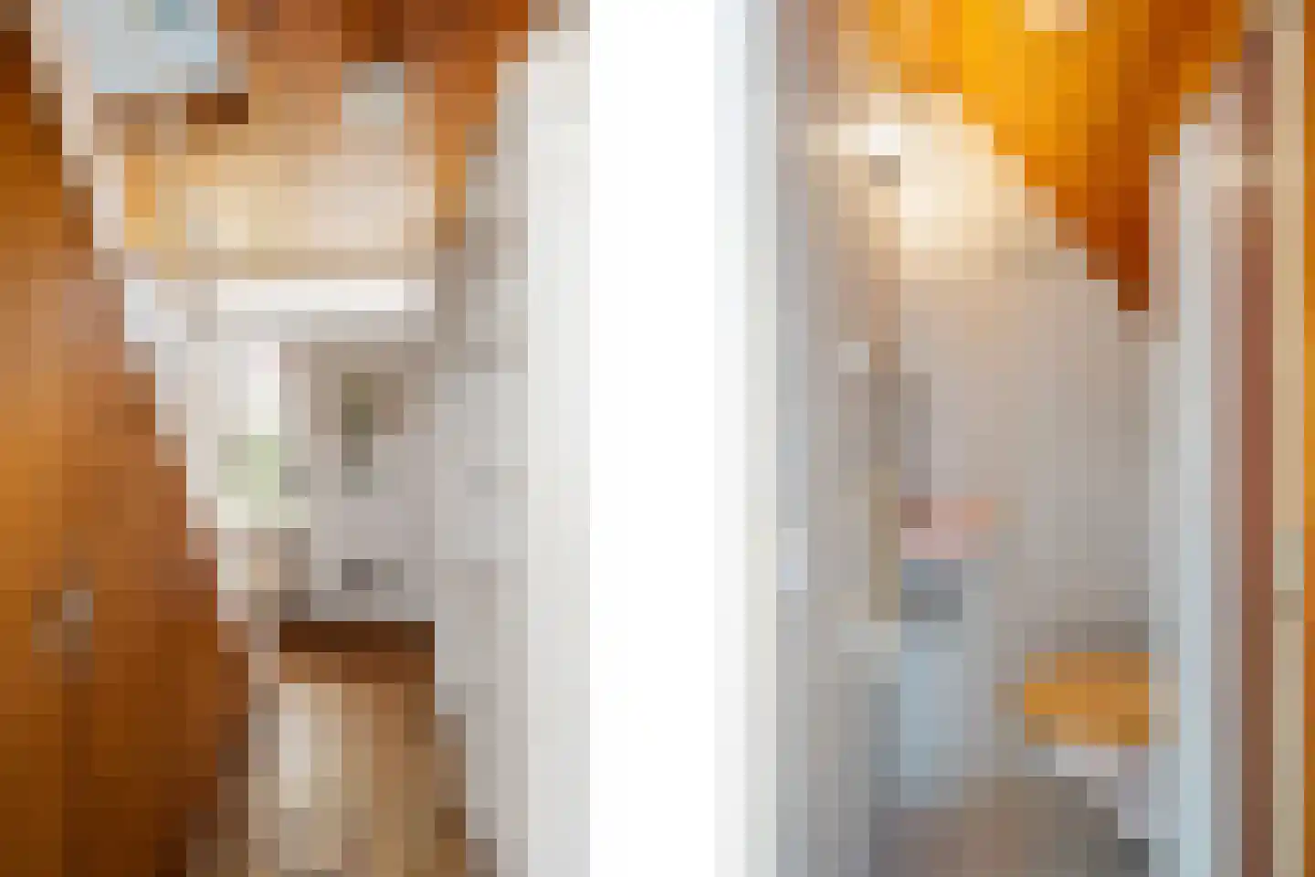 Gerard Doustraat 34 Capelle aan den IJssel thumbnail 30