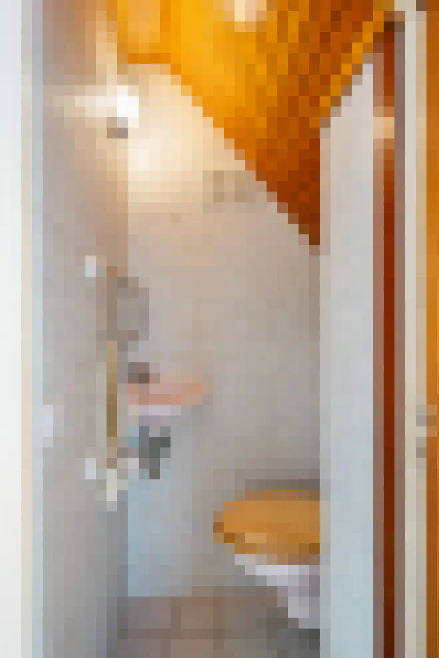 Gerard Doustraat 34 Capelle aan den IJssel thumbnail 31