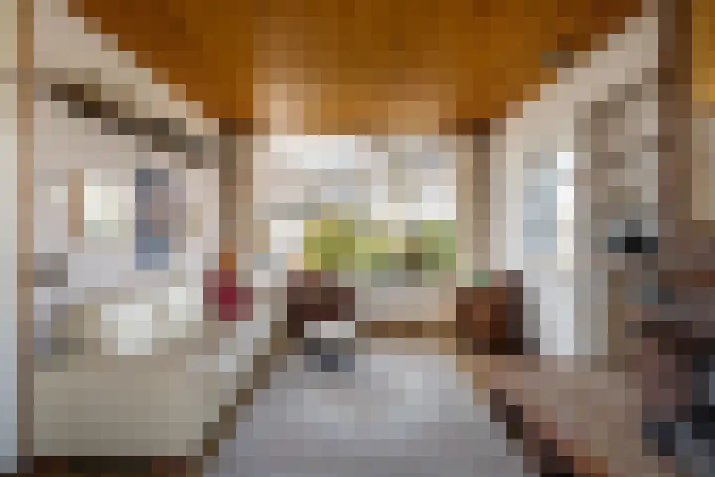 Gerard Doustraat 34 Capelle aan den IJssel thumbnail 7