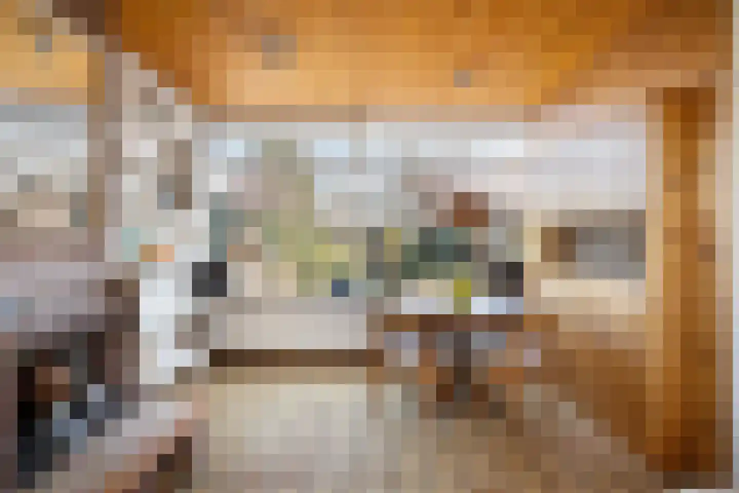 Gerard Doustraat 34 Capelle aan den IJssel thumbnail 9