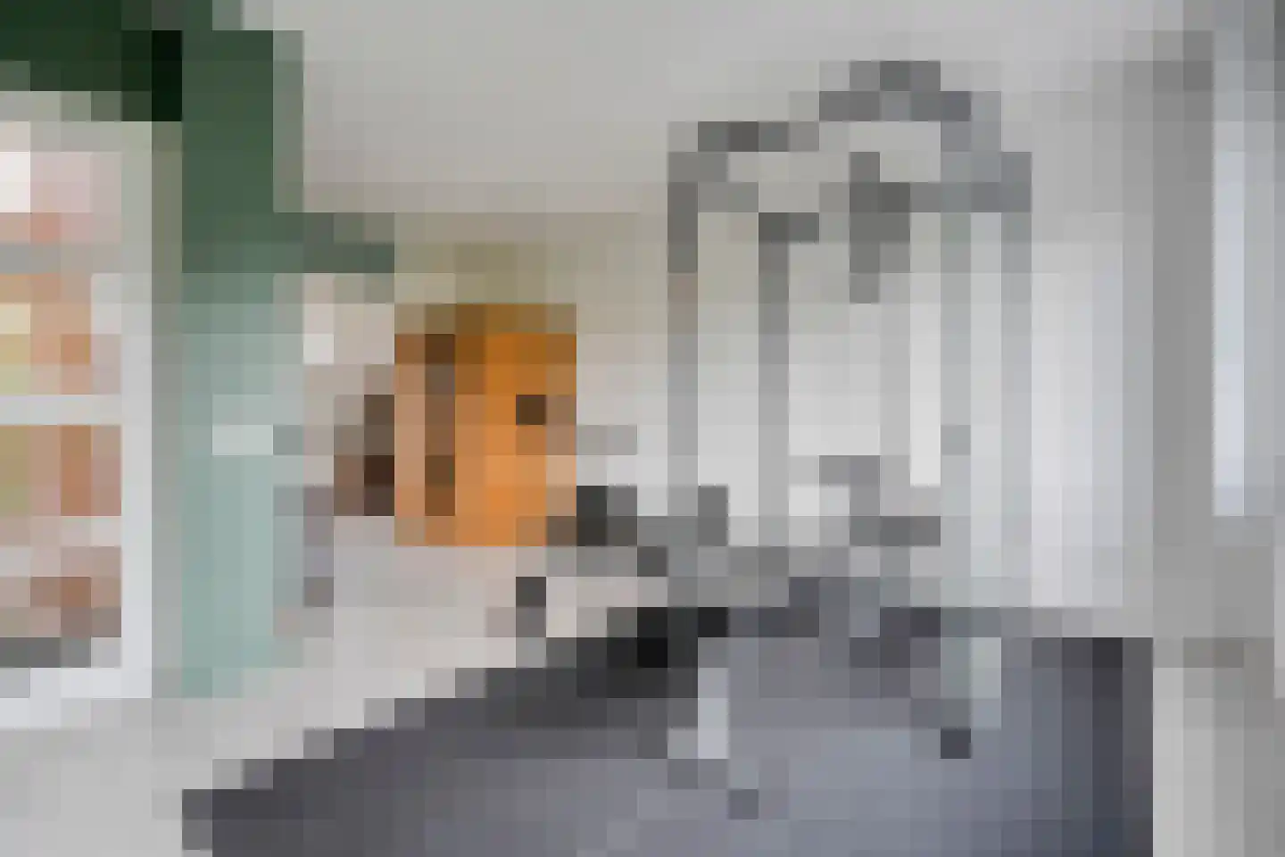 Gerard Doustraat 42 Ommen thumbnail 38