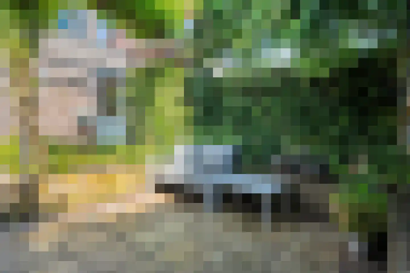 Gerard Doustraat 42 Ommen thumbnail 43