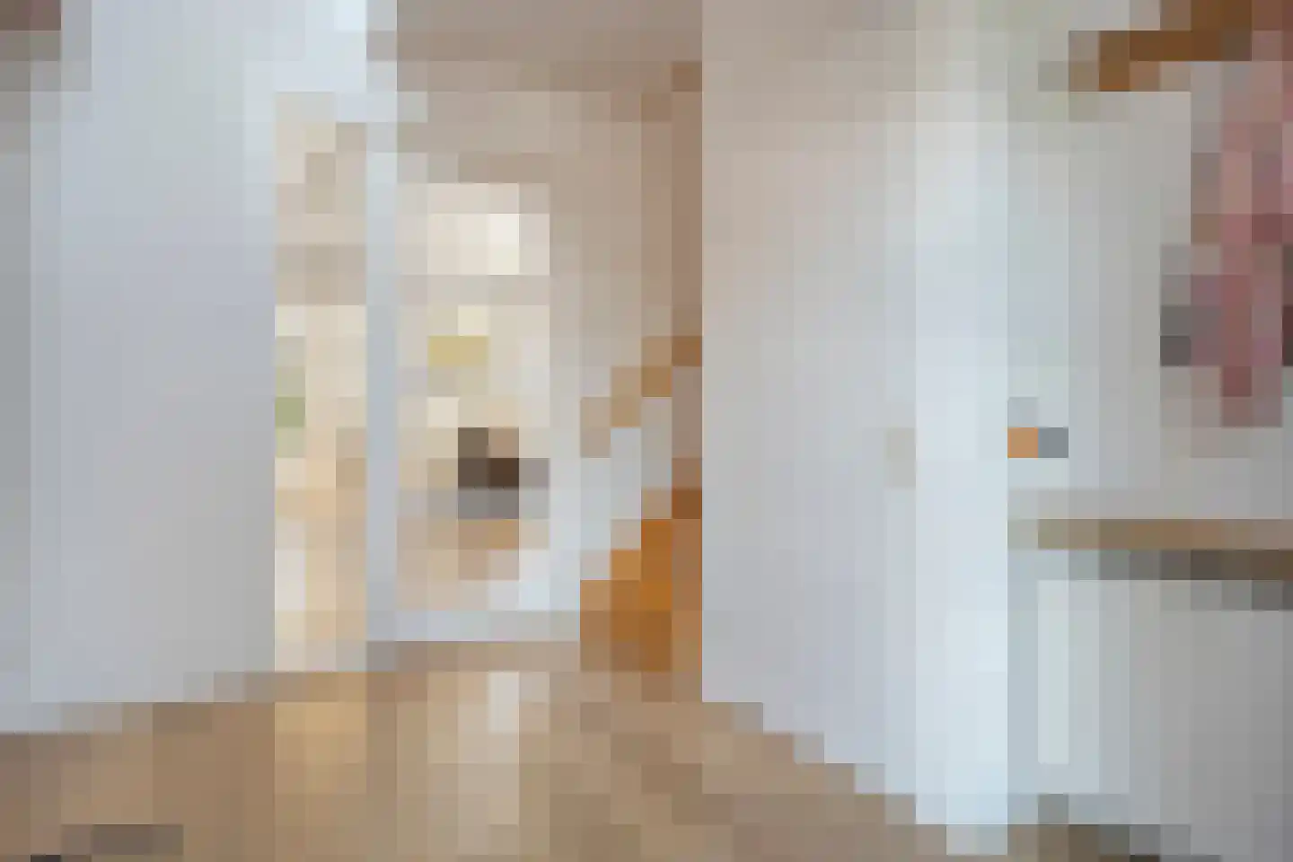 Gerard Doustraat 42 Ommen thumbnail 5