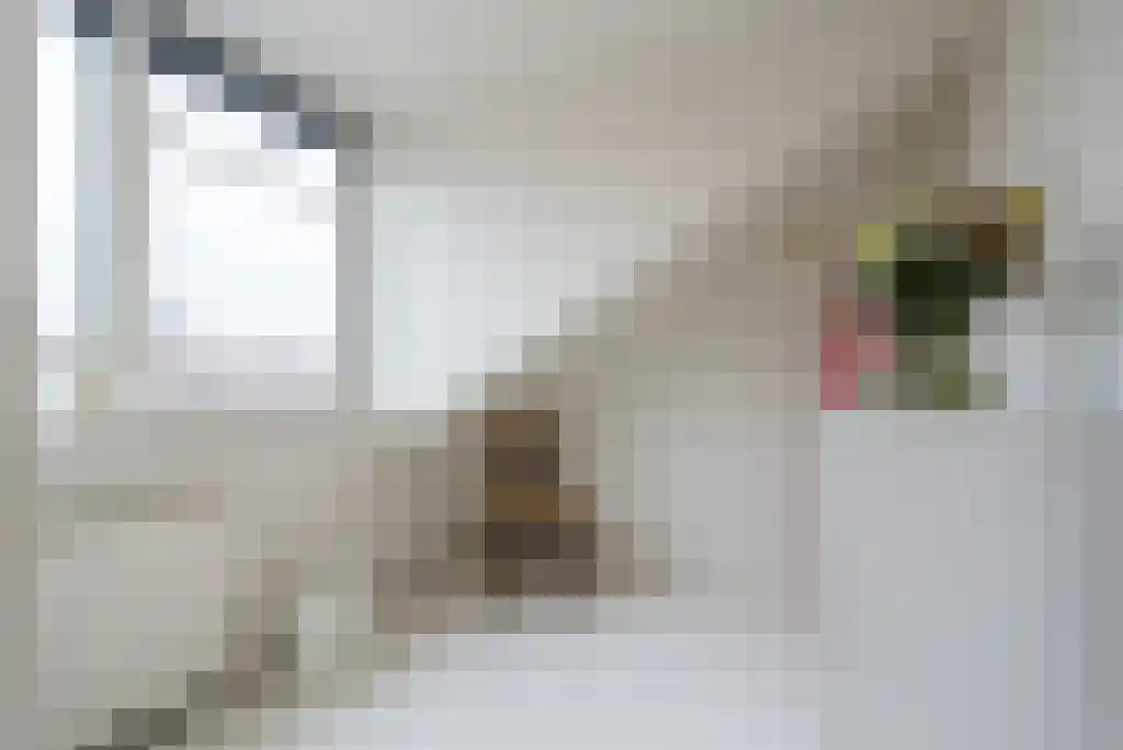 Gerard Doustraat 42 Utrecht thumbnail 30