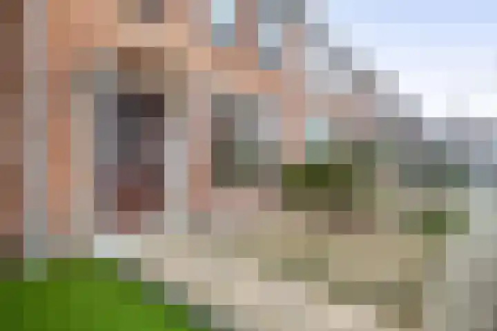 Gerard Doustraat 5 Hardinxveld-Giessendam thumbnail 5