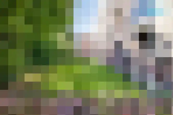Gerard Doustraat 5 Ridderkerk thumbnail 22
