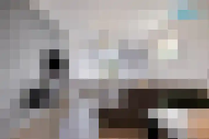 Gerard Doustraat 5 Ridderkerk thumbnail 4