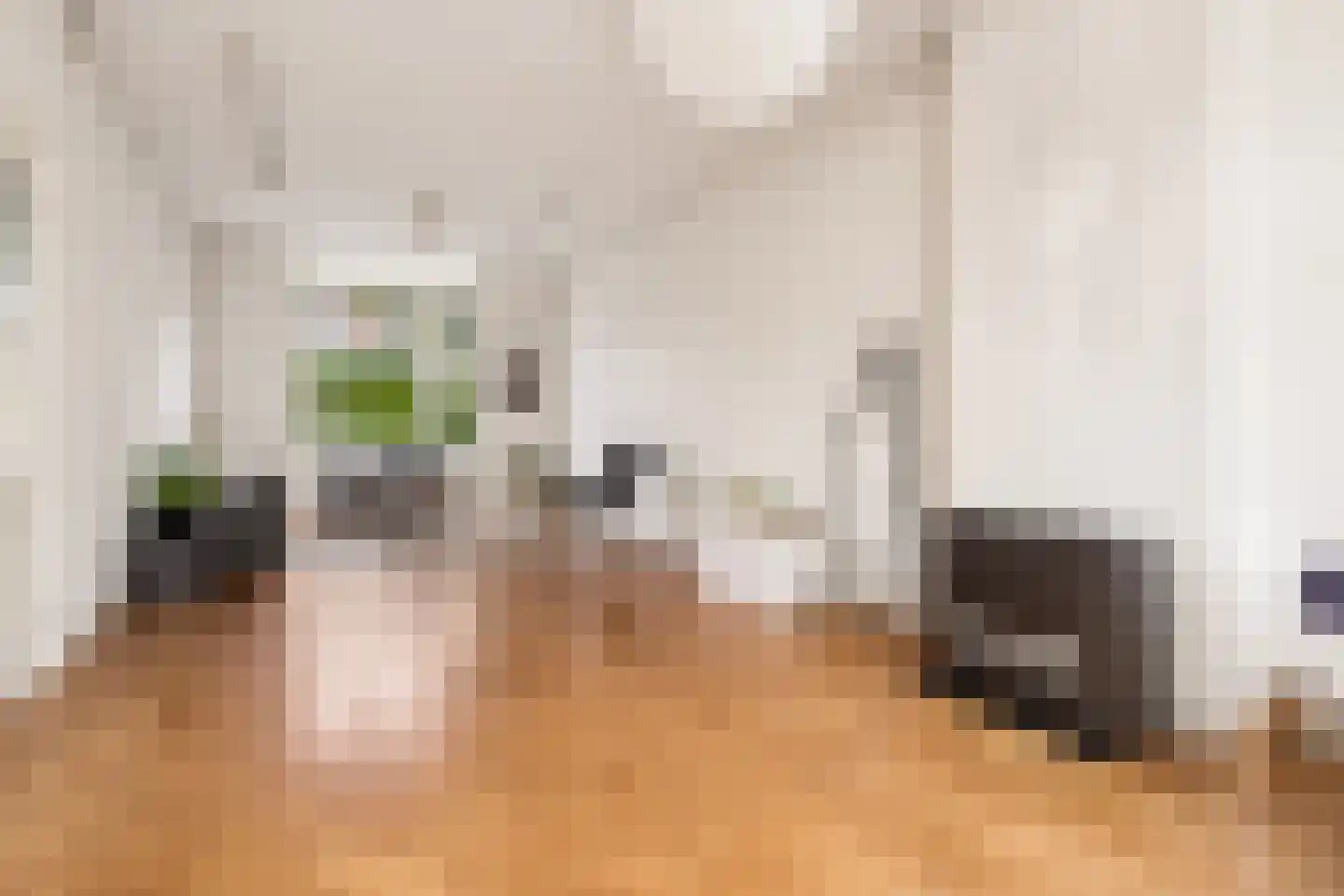 Gerard Doustraat 5 Utrecht thumbnail 15