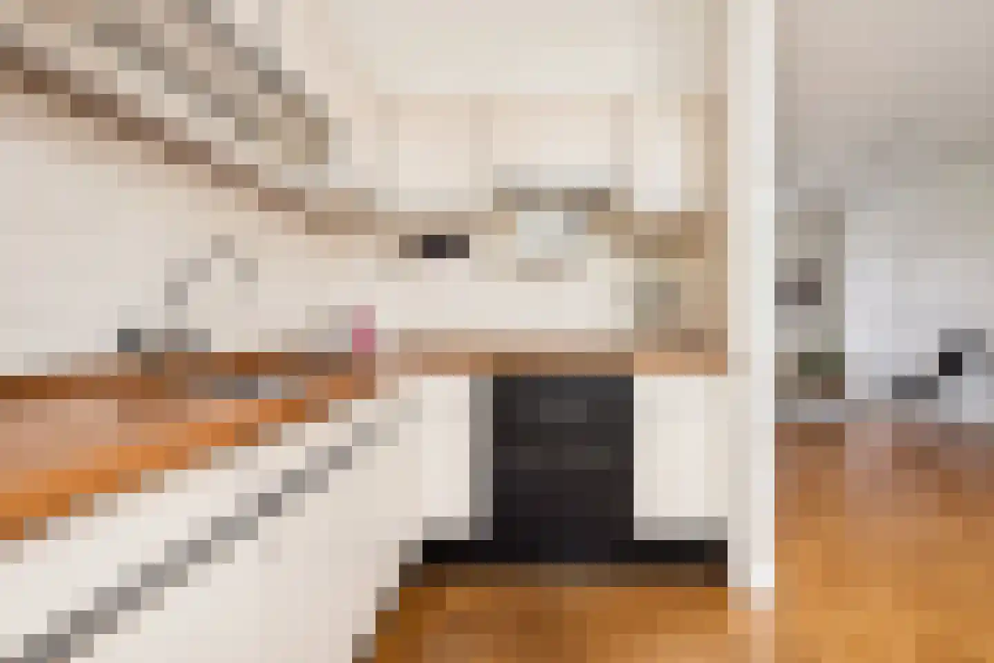 Gerard Doustraat 5 Utrecht thumbnail 20