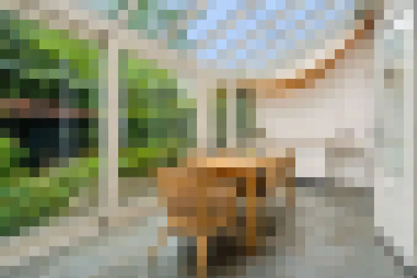 Gerard Doustraat 5 Utrecht thumbnail 23