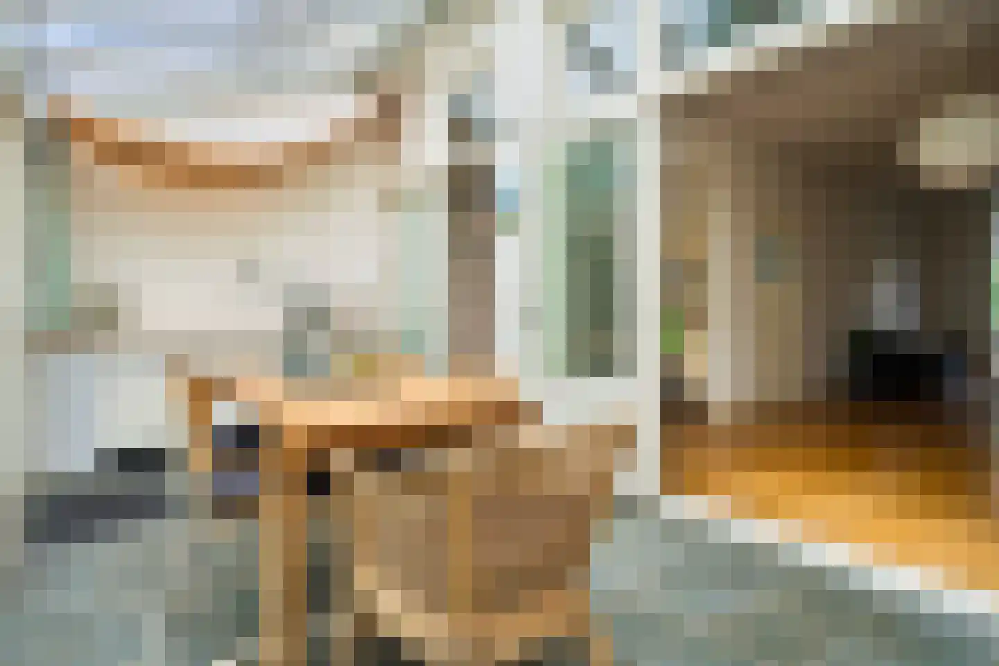 Gerard Doustraat 5 Utrecht thumbnail 24