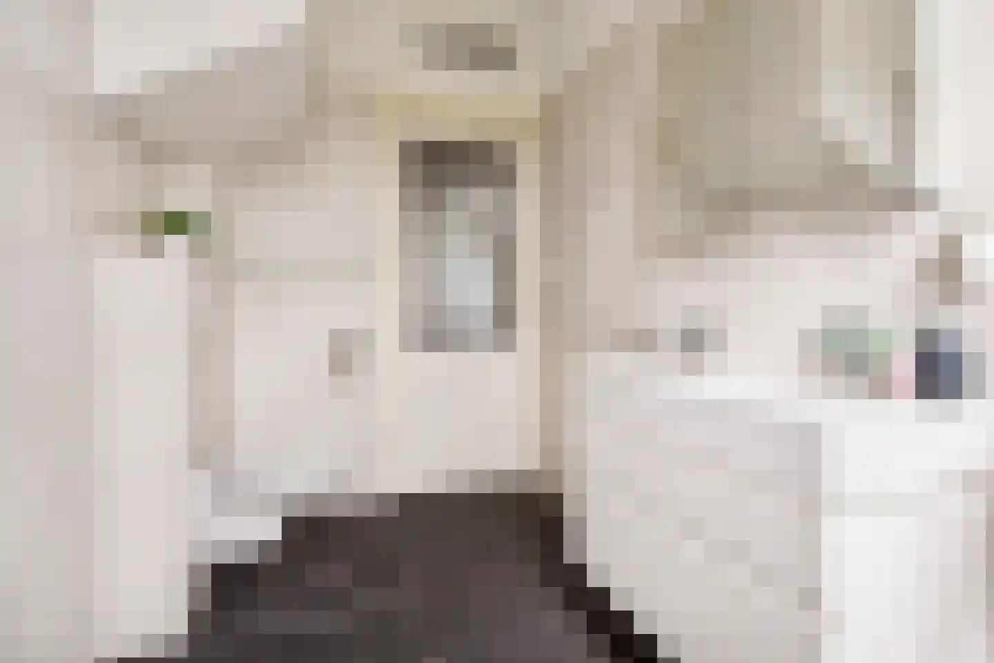 Gerard Doustraat 5 Utrecht thumbnail 31