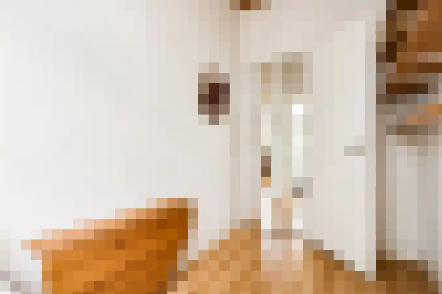 Gerard Doustraat 5 Utrecht thumbnail 36