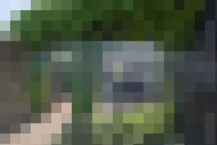 Gerard Doustraat 53 Roosendaal thumbnail 32