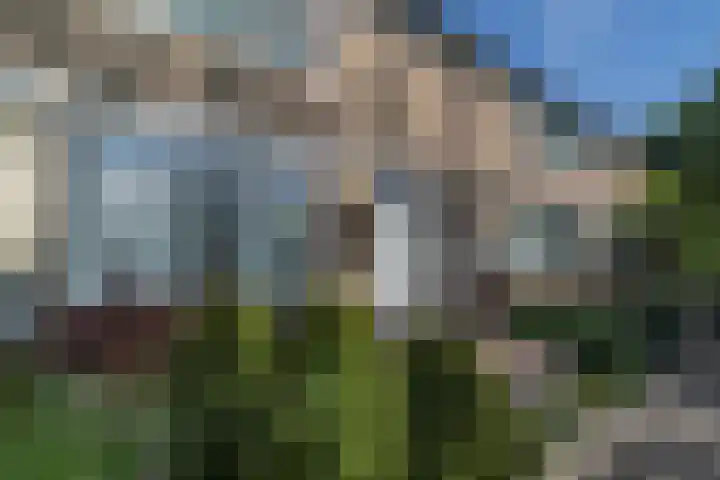 Gerard Doustraat 53 Roosendaal thumbnail 35