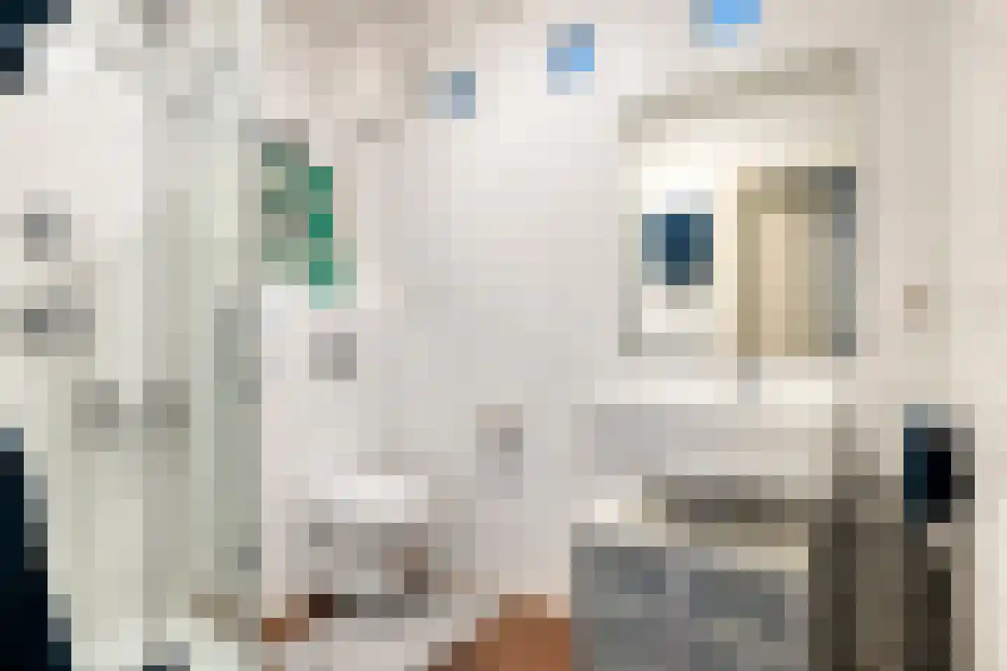 Gerard Doustraat 6 2 Amsterdam thumbnail 17