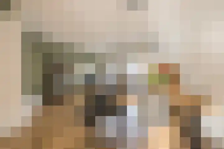 Gerard Doustraat 60 Voorthuizen thumbnail 14