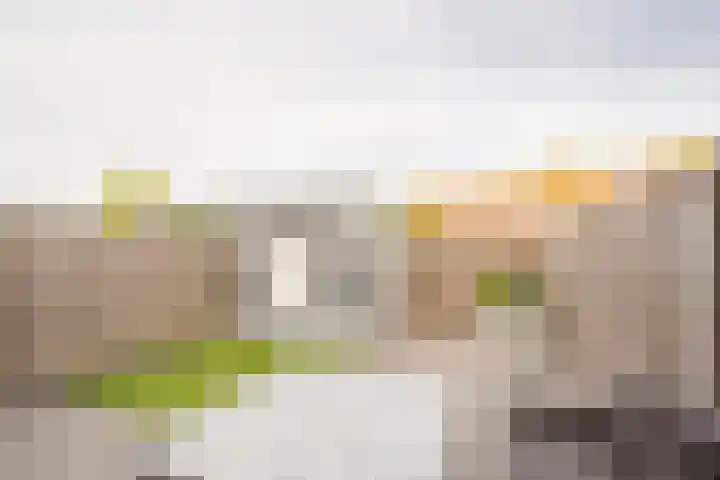 Gerard Doustraat 60 Voorthuizen thumbnail 30
