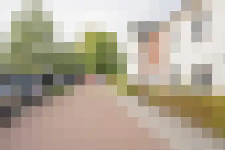 Gerard Doustraat 60 Voorthuizen thumbnail 33
