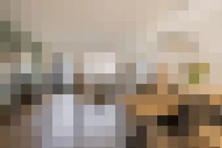 Gerard Doustraat 60 Voorthuizen thumbnail 4