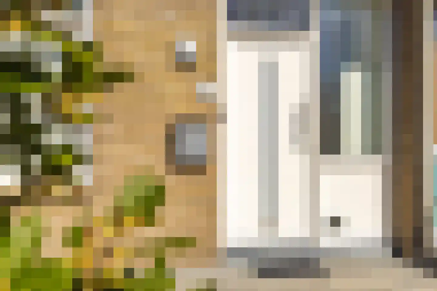 Gerard Doustraat 69 Roosendaal thumbnail 5