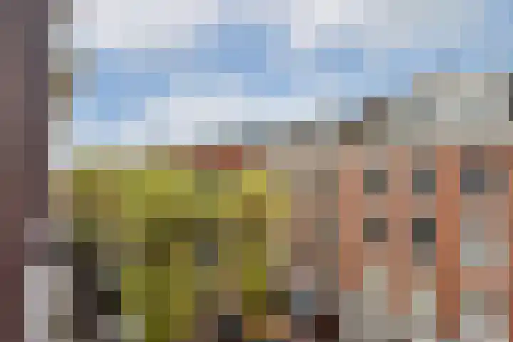 Gerard Doustraat 74 2 Amsterdam thumbnail 11