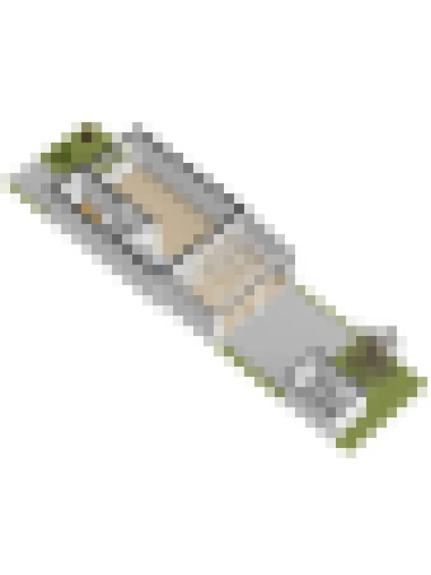 Gerard Doustraat 8 Ridderkerk thumbnail 52
