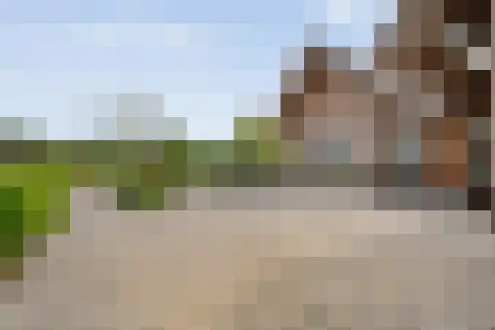 Gerard Doustraat 81 Ommen thumbnail 73