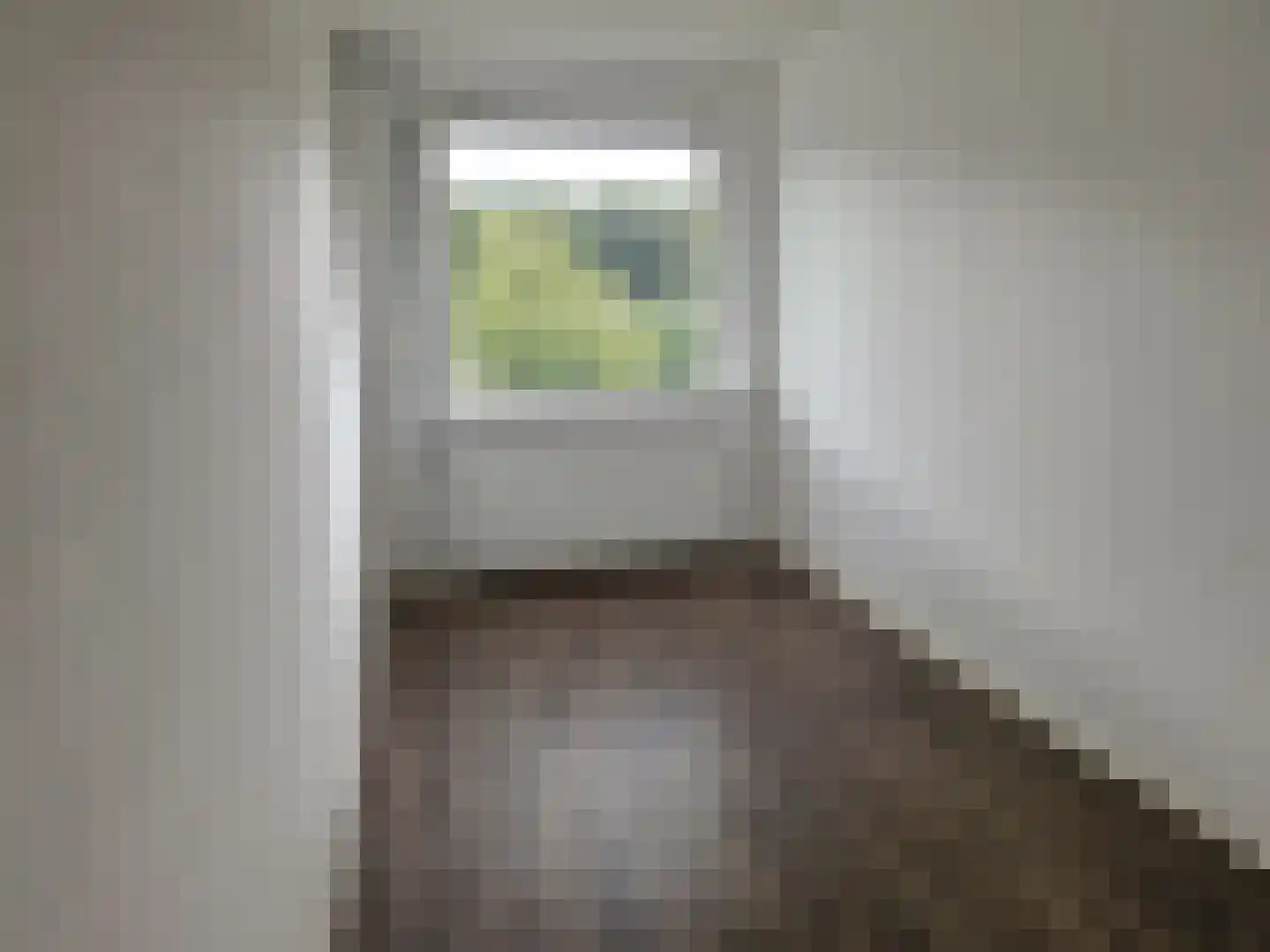 Gerard Doustraat 83 Assen thumbnail 10